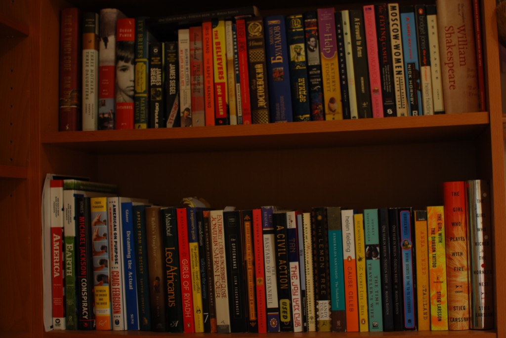 Marina Raydun bookshelves