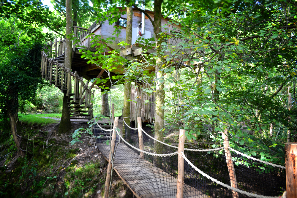 Treehouse ropebridge