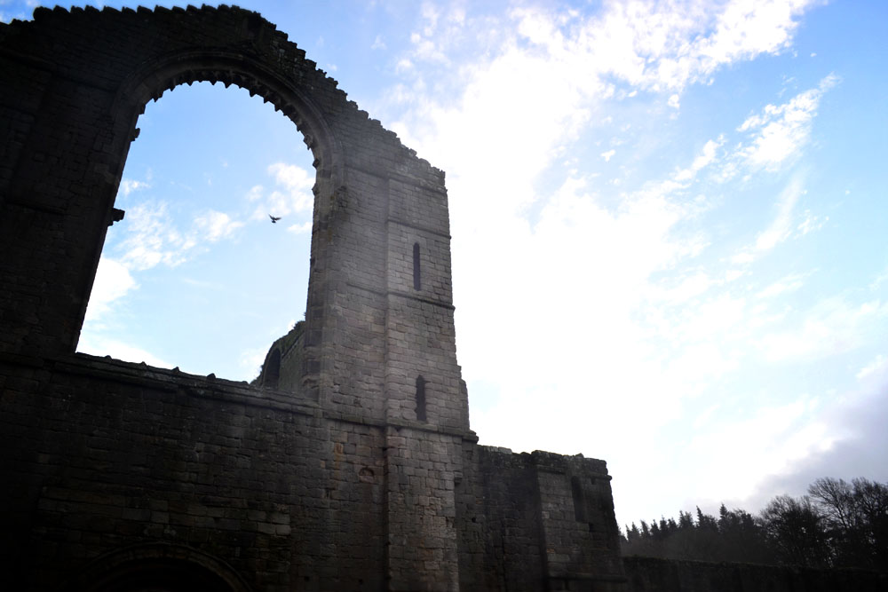 Ruins of Fountains Abbey