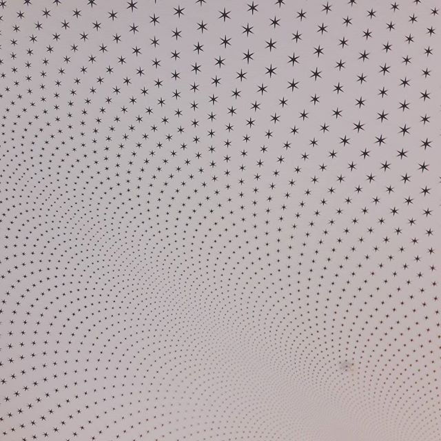 Star ceiling Rijksmuseum