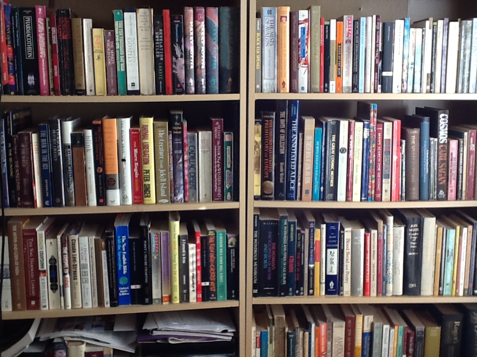 Lombardo bookshelves