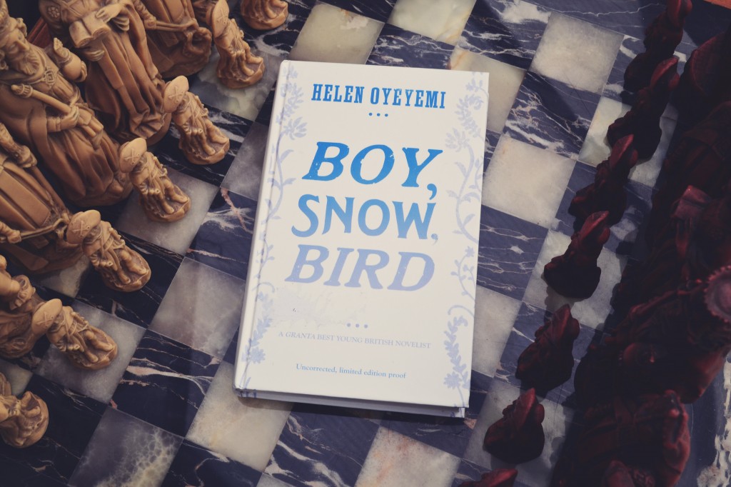 Boy Snow Bird
