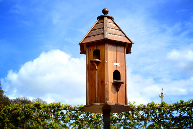 Ornamental bird house