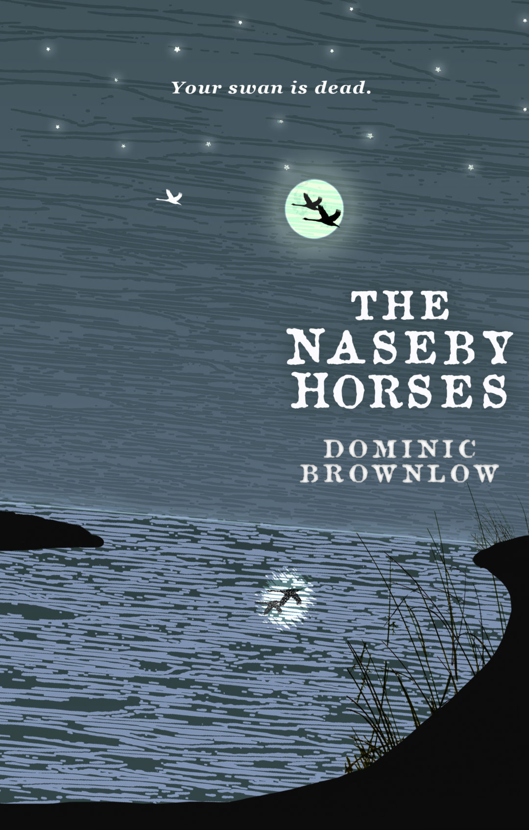 The Naseby Horses cover